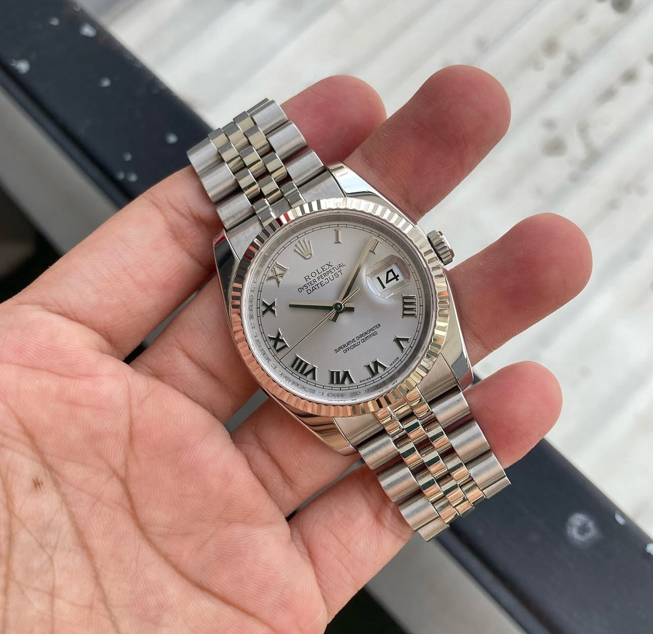 Datejust Bianco Romani