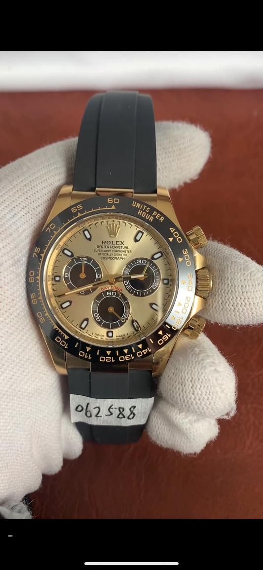 Daytona Oysterflex Oro